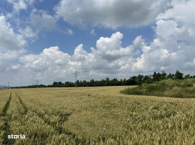 Teren  pentru depozitare sau activitati industriale langa DN 11