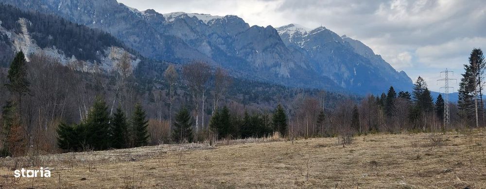 Teren 622 mp in Sinaia - Zamora, priveliste peisagistică către Bucegi!