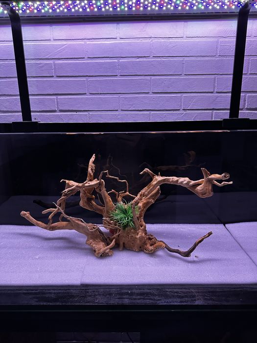 Коряги для акаариума-террармума