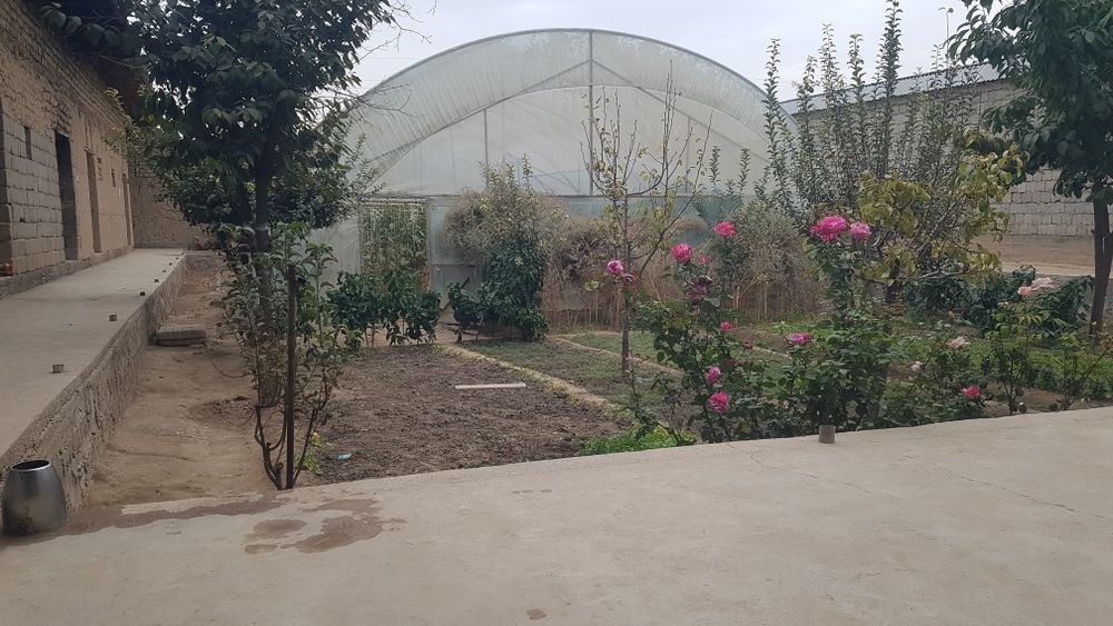 Srochno Xovli-joy sotiladi