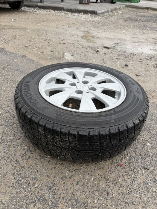 14 ромашка идеальном состоянием