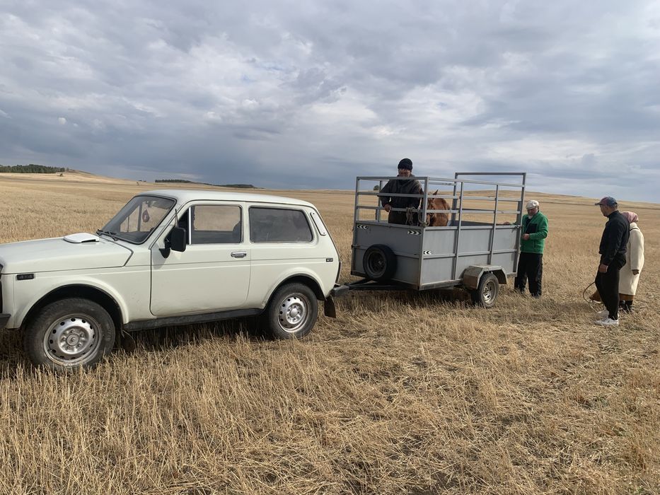 продам ниву. состояние отличное.