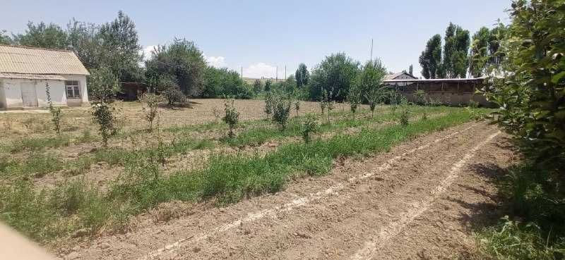 Срочно продается 30 соток земля в хорошим месте