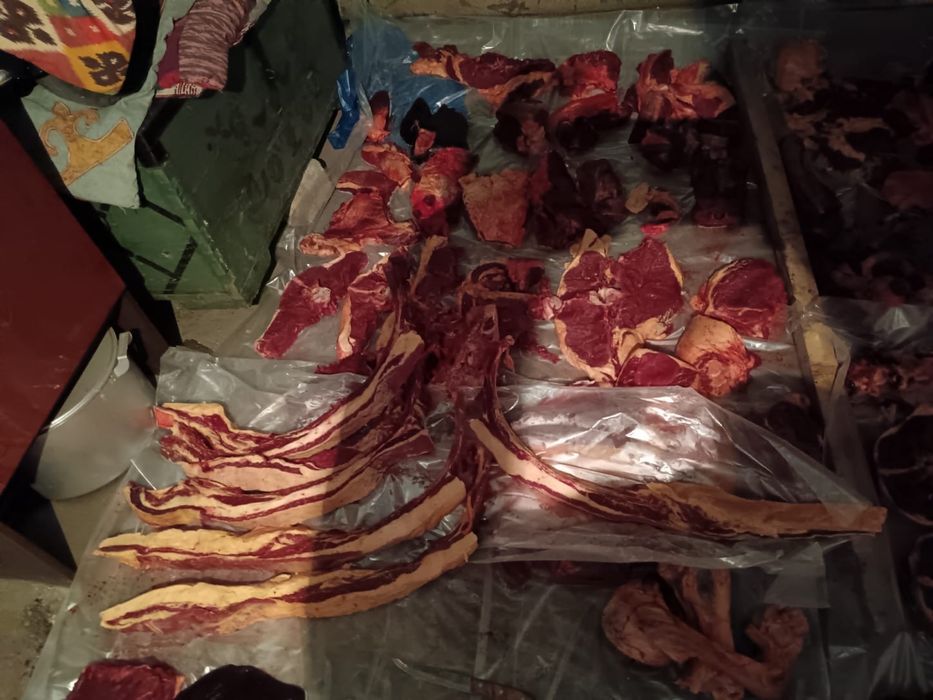 Продам согым бие с откорма