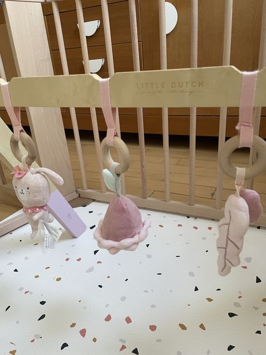 Little dutch baby gym