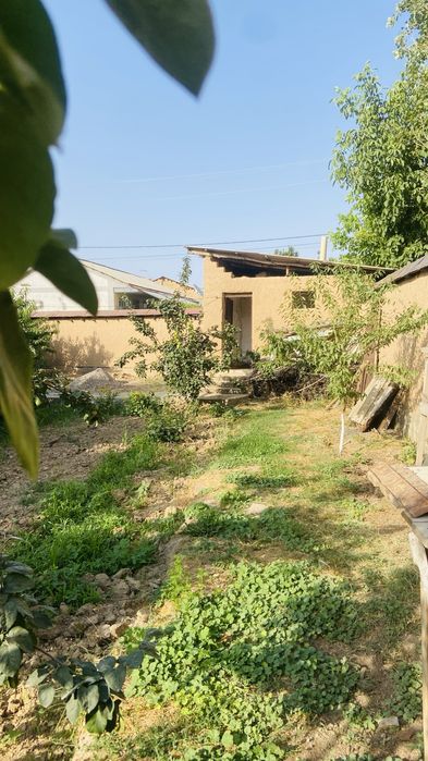 Uchastkadan yer boʻlib sotiladi