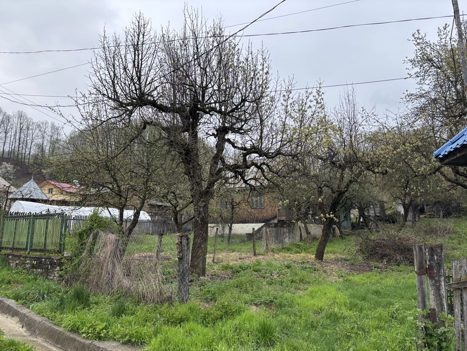 Vand casa si teren in Rau alb