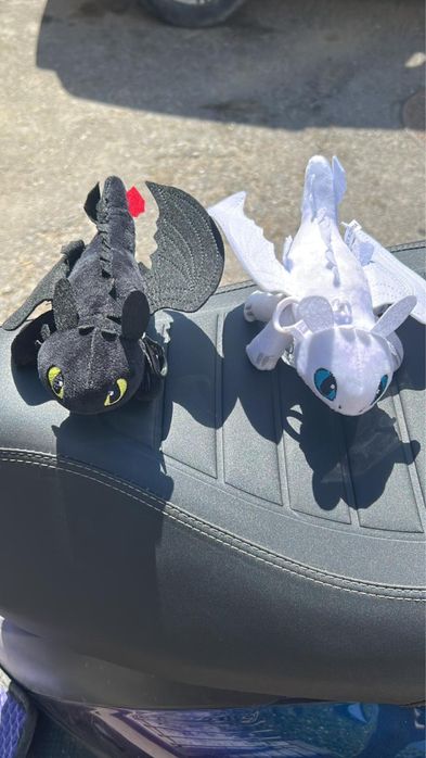 Беззубик/дневная фурия