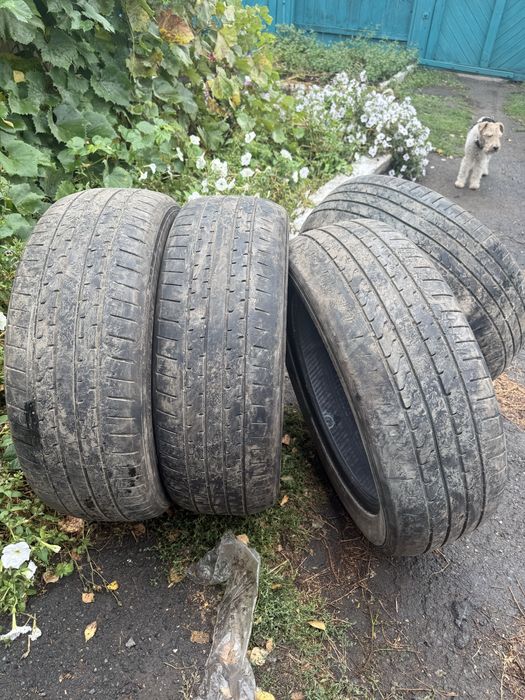 Продам резину летнюю 225/55R19