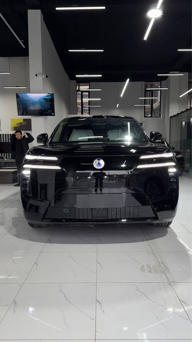 Denza n8L restayling