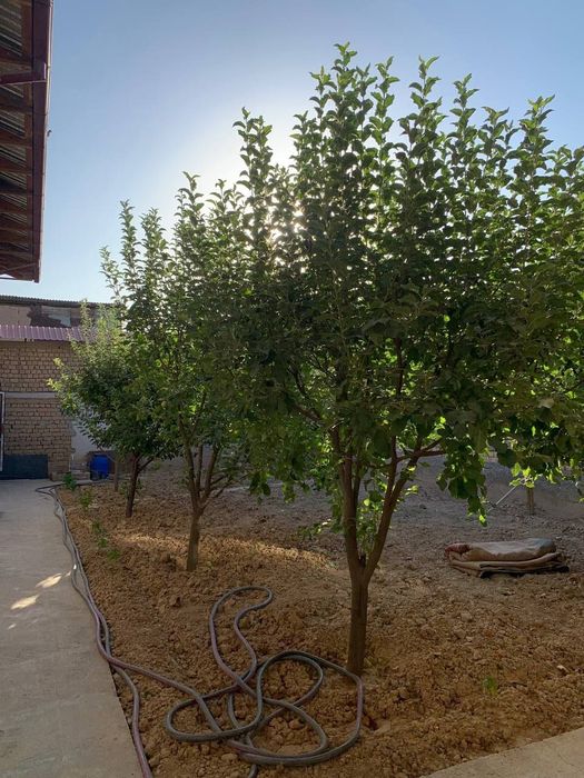 Uy uchaska дом 3,