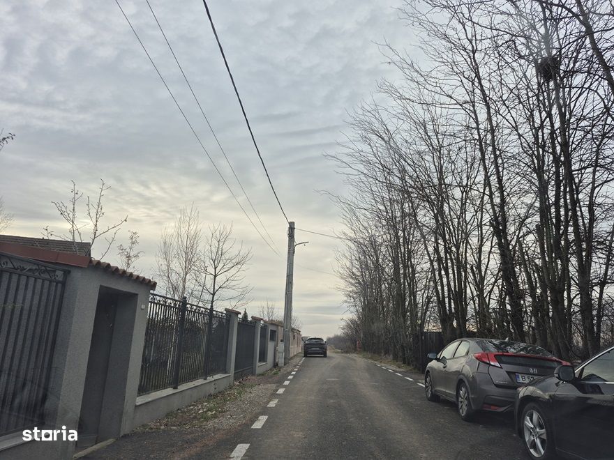 Teren Balotesti,intre case noi,vecinDn1,utilitati la hotar,800 mp - Vedere 5
