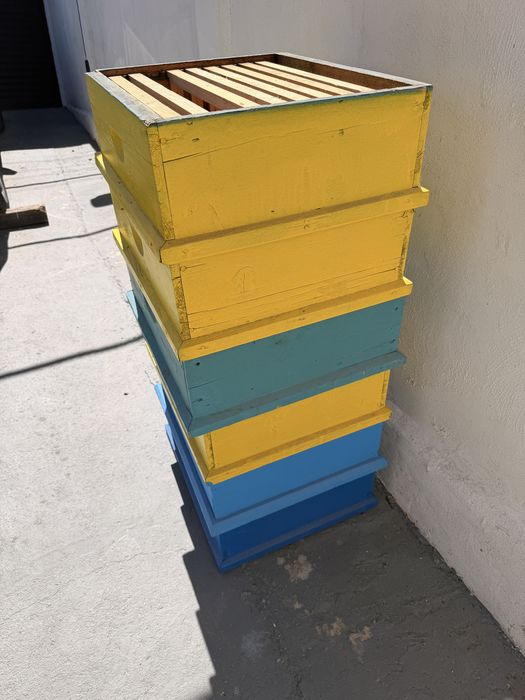 Магазини 10рамкови