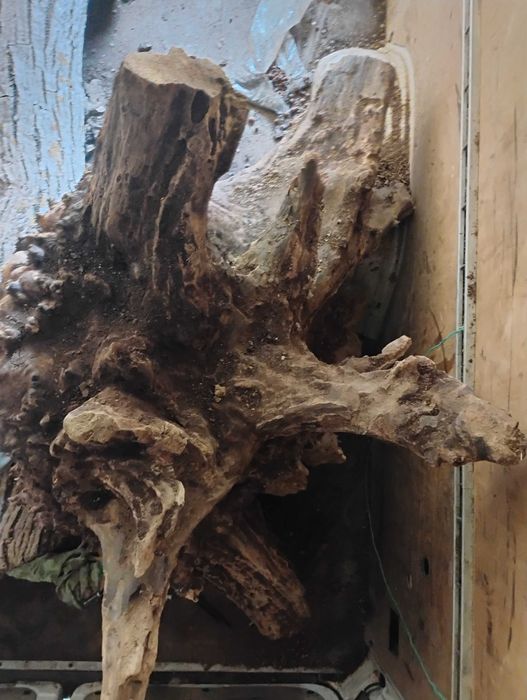 Дървен материал от орех