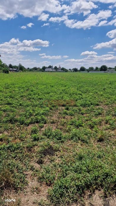 Teren intravilan 9.470 mp – Bolintin-Deal, locație excelentă