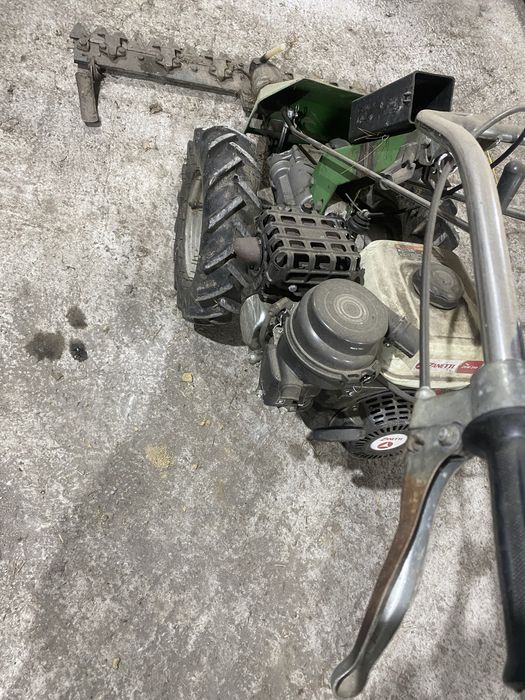 Vand cositoare           .