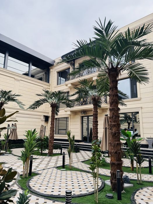 Декоративные пальмы ZELENO — для дома, дача ,кафе