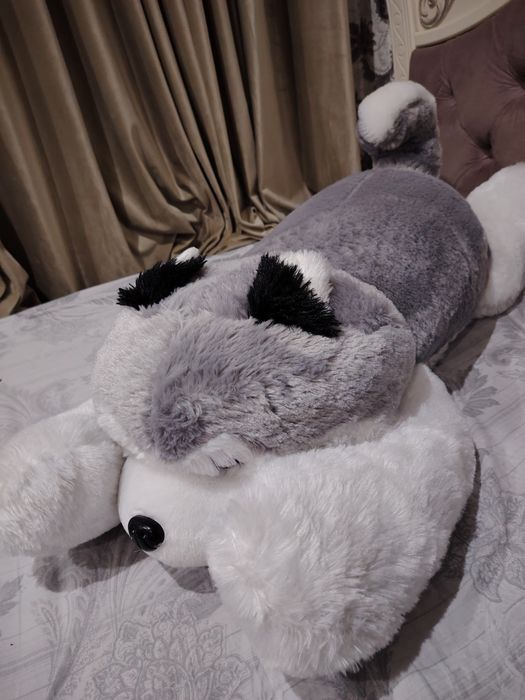 Haski yumshoq o'yinchog'i