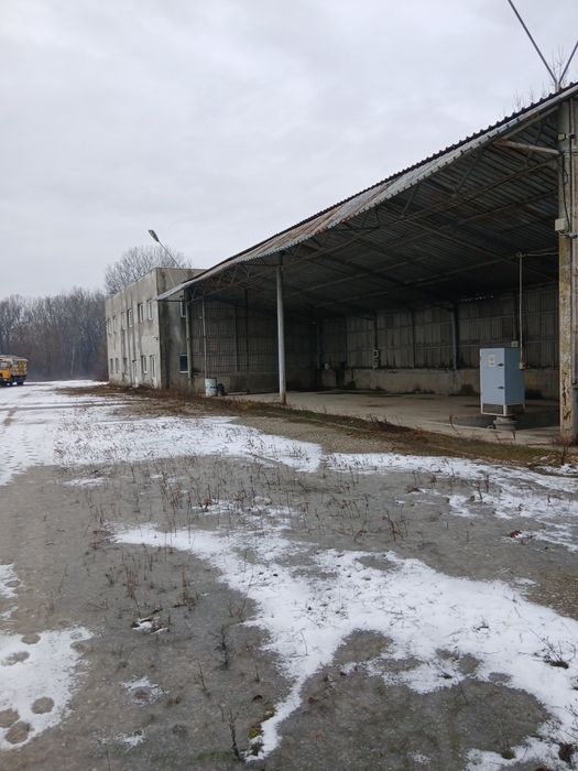 Inchiriez spatii si teren