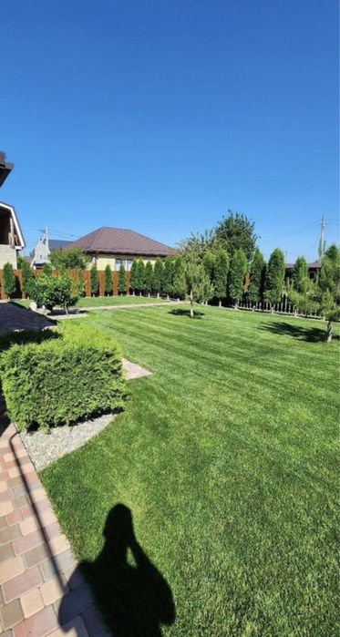 Газон англиский спортивный