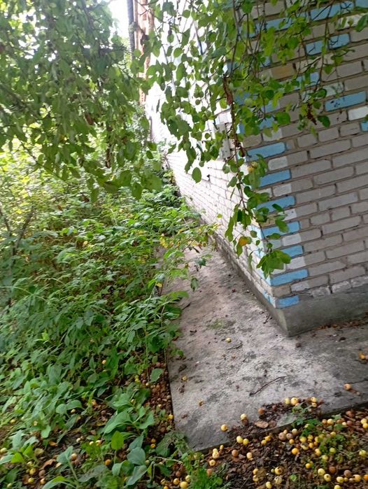 продам квартиру  в Боровском