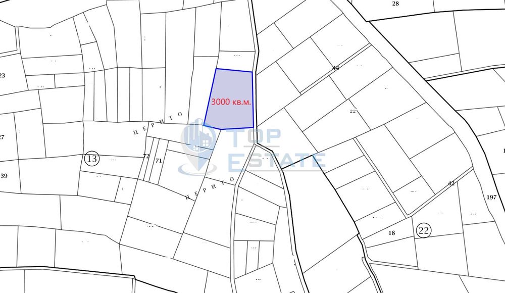Продава се Парцел в с. Беляковец, Област Велико Търново - 3000 кв.м за 14 €/кв.м - Снимка #1