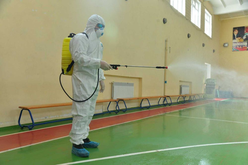 Dezinfeksiya 250 000 so'm Уничтожение тараканов клопов Дезинфекция