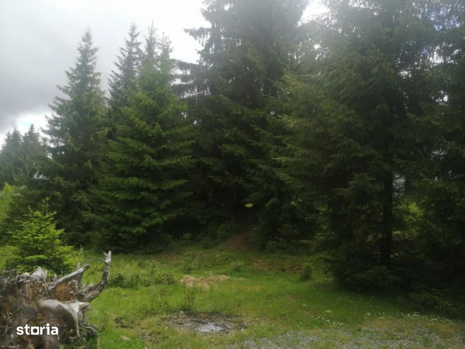 Teren de vanzare Belis1300mp Strada principala Intravilan