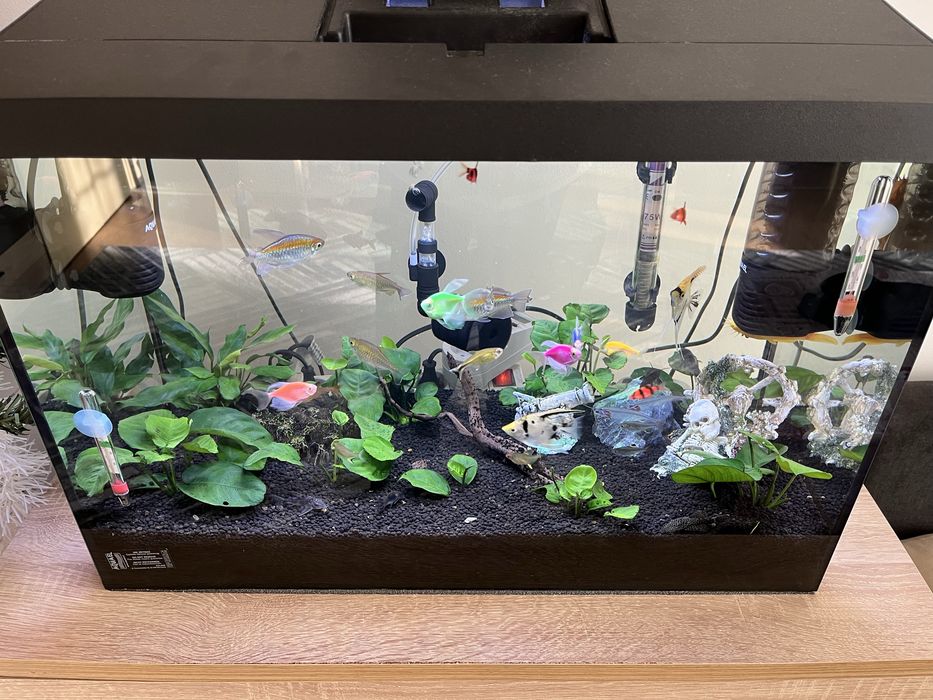 Аквариум aquael 72л