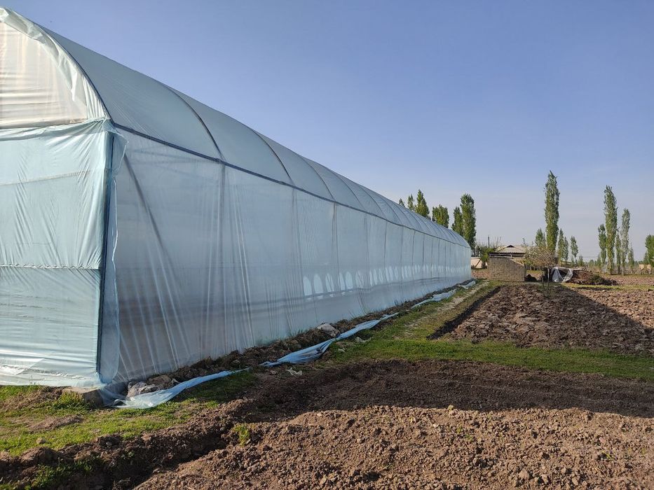 Участка сотилади 15 сотих кадастир дакументлари жойида