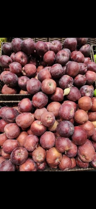 Продам местные вкусные яблоки разных сортов