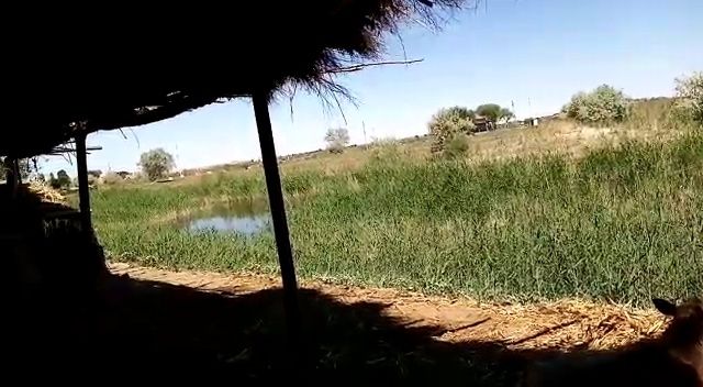 Жай сатилади бахаси келисимли