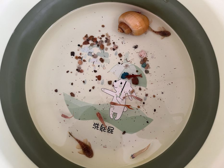 Аквариум с рыбками.