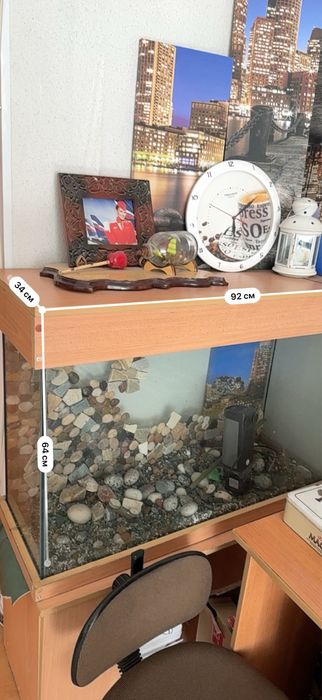 Аквариум хорошоя состаяние