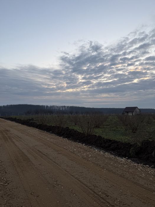 Parcele de vanzare Pausa