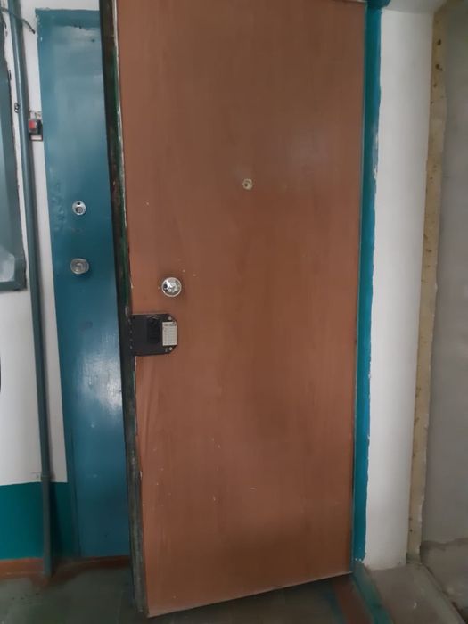 Дверь железная толстая