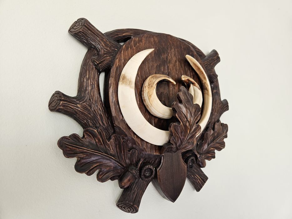 Трофей от диво прасе. Зъби. Глиган.