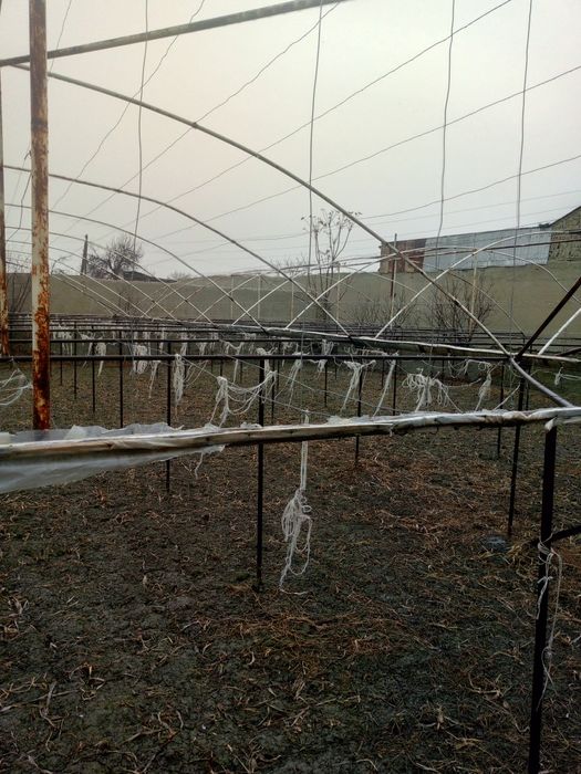 Теплиса сотилади