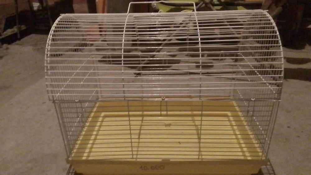 Клктка большая для животных