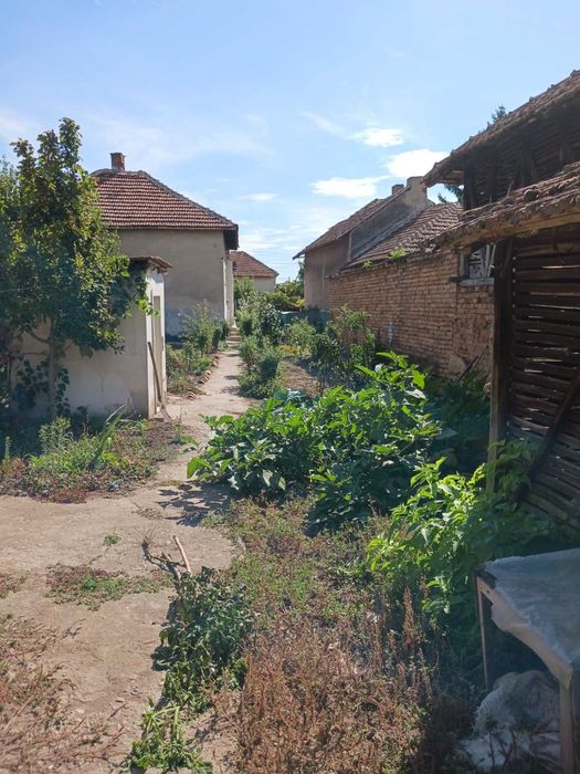 Продава се Къща в с. Брегаре, Област Плевен - 60 кв.м за 298 €/кв.м - Снимка #4