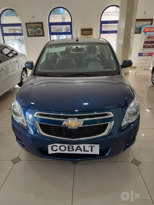 COBALT FUL 2023 rangi Parlament