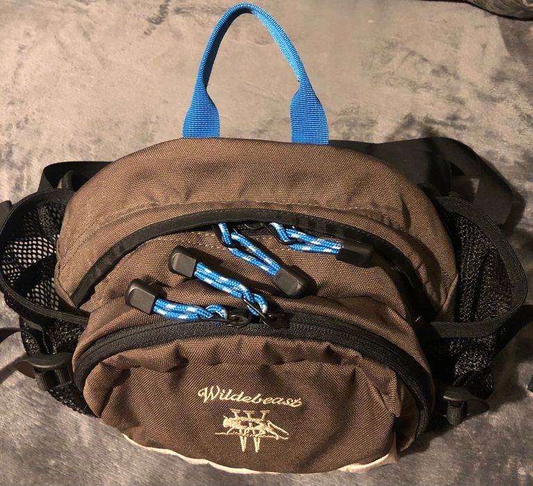 Туристическа чанта за кръста бъбрек