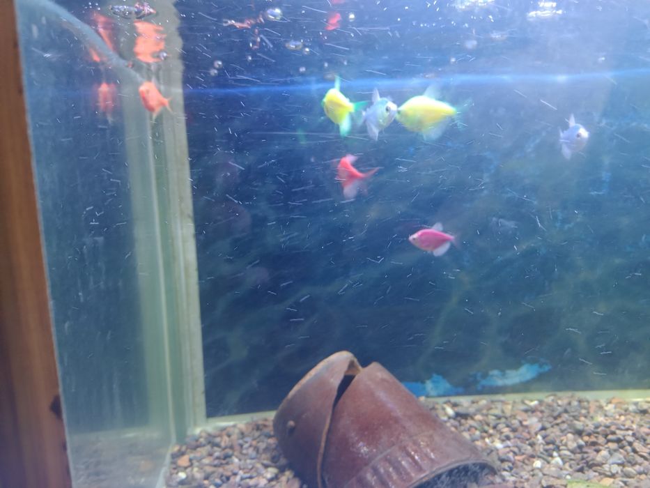 Срочно продается Аквариум 400л 200л 120л 80л