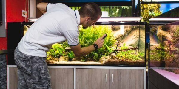 Обслуживания акввариумов