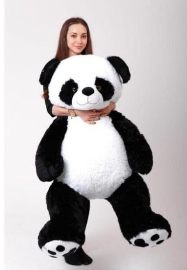 Panda Teddi va Boshqa Barcha Yumshoq O'yinchoqlar