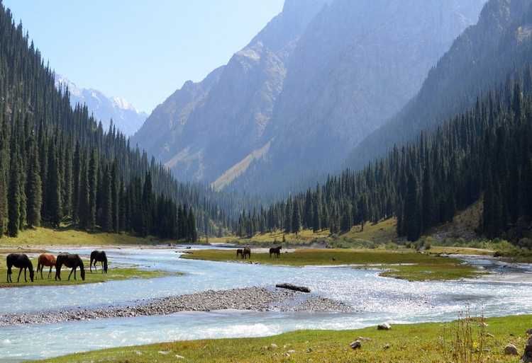 Иссык Куль за 330 у.е.