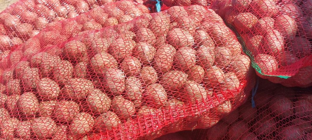 Cartof  samanta  belaroza