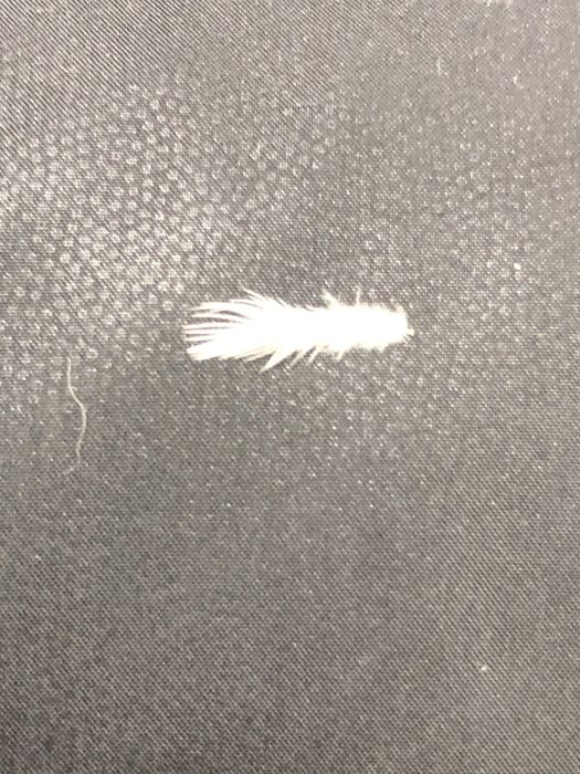 Продается пуховик 48 50 размер