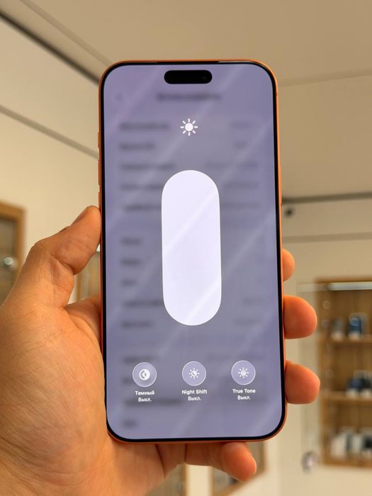 iPhone 17 Pro Max | 256 GB
