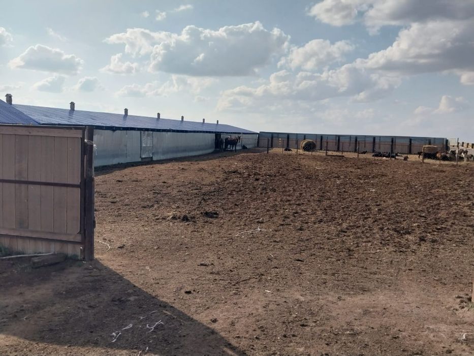 Продам крестьянское хозяйство